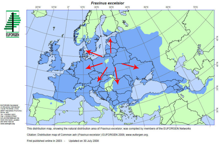 Forskerne har funnet ut at soppen har spredt seg fra Polen. På bildet kan du se hvordan sykdommen har spredt seg til resten av Europa. (Figur: Euforgen) Forskerne har funnet ut at soppen har spredt seg fra Polen. På bildet kan du se hvordan sykdommen har spredt seg til resten av Europa. (Figur: Euforgen)