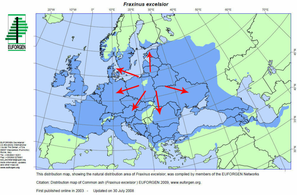 Forskerne har funnet ut at soppen har spredt seg fra Polen. På bildet kan du se hvordan sykdommen har spredt seg til resten av Europa. (Figur: Euforgen)