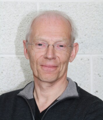 Professor Vidje Hansen. (Foto: Privat) Professor Vidje Hansen. (Foto: Privat)