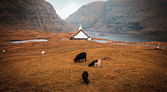 Det var folk på Færøyene før vikingene, mener forskere