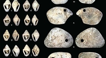 Et spedbarn ble begravd med disse perlene av skjell for 10.000 år siden