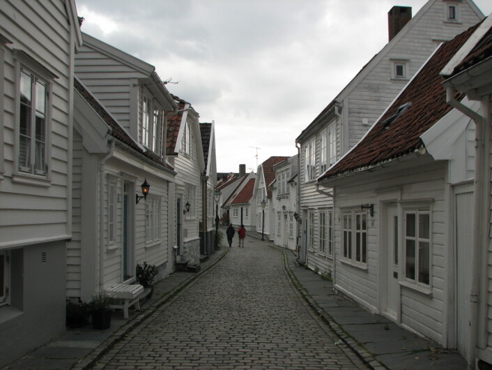 "En tidligere kollega av zoologen sier at utspillene i Stavanger Aftenblad er flaue og pinlige for både Stavanger by og for Stavanger Museum. (Foto: Mercy/Wikimedia Commons)" "En tidligere kollega av zoologen sier at utspillene i Stavanger Aftenblad er flaue og pinlige for både Stavanger by og for Stavanger Museum. (Foto: Mercy/Wikimedia Commons)"