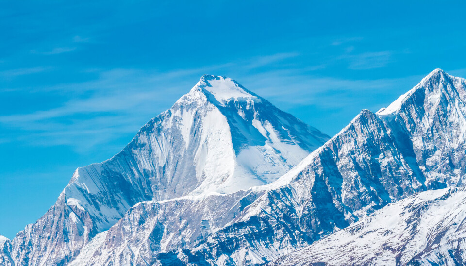 Himalaya er mye yngre, men det var overfloden av plankton for to milliarder år siden som gjorde fjellkjeden mulig, ifølge John Parnell.
