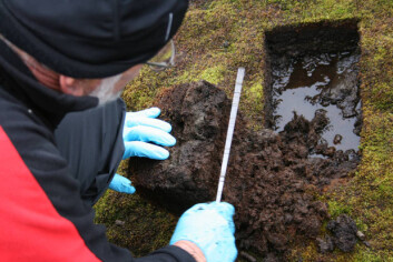 Den metanspisende bakterien finnes i topplaget på arktisk jordsmonn. (Foto: Mette Svenning) Den metanspisende bakterien finnes i topplaget på arktisk jordsmonn. (Foto: Mette Svenning)