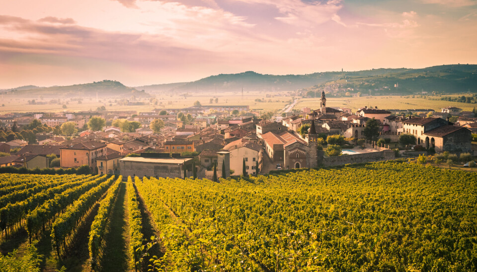 Vinranker i Veneto i Italia