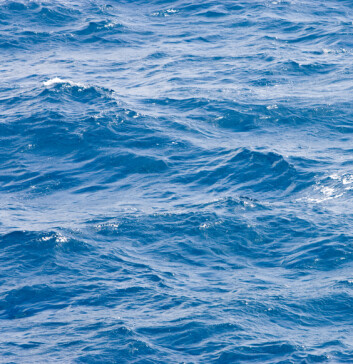 (Illustrasjonsfoto: www.colourbox.no) (Illustrasjonsfoto: www.colourbox.no)