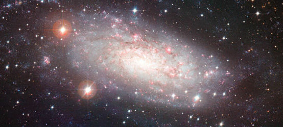 Spiralgalaksen NGC 3621 (Foto: ESO/Joe DePasquale)