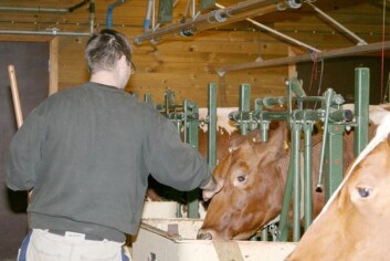 Mennesker med klinisk depresjon kan få bedre psykisk helse av arbeid og kontakt med husdyr. (Foto: Janne Karin Brodin) Mennesker med klinisk depresjon kan få bedre psykisk helse av arbeid og kontakt med husdyr. (Foto: Janne Karin Brodin)