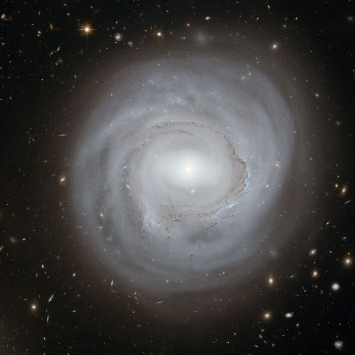 Hubbleteleskopet har tatt bilde av spiralgalaksen NGC 4921, i galaksehopen Coma Galaxy Cluster. (Foto: ESA/NASA) Hubbleteleskopet har tatt bilde av spiralgalaksen NGC 4921, i galaksehopen Coma Galaxy Cluster. (Foto: ESA/NASA)