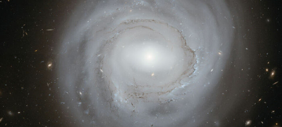 Hubbleteleskopet har tatt bilde av spiralgalaksen NGC 4921, i galaksehopen Coma Galaxy Cluster. (Foto: ESA/NASA)