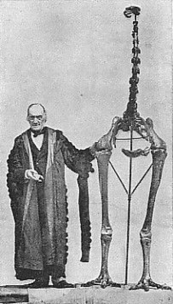 "Darwins fiende Richard Owen med skjellettet av moa" "Darwins fiende Richard Owen med skjellettet av moa"
