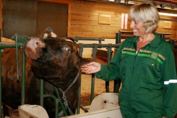 Tiltak innen grønn omsorg kan være et nyttig supplement i psykisk helsearbeid, sier stipendiat Ingeborg Pedersen ved UMB. (Foto: Janne Karin Brodin) Tiltak innen grønn omsorg kan være et nyttig supplement i psykisk helsearbeid, sier stipendiat Ingeborg Pedersen ved UMB. (Foto: Janne Karin Brodin)