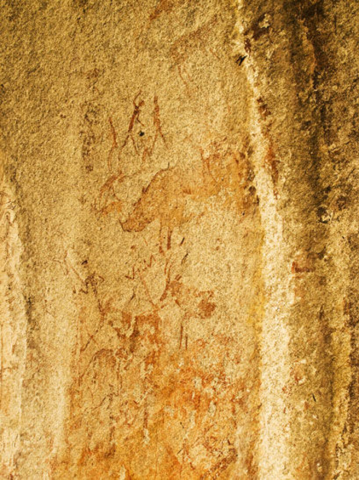 Måleri av afrikanske dyr laga av San-folk eller seinare jordbrukssamfunn. Helleristingar er vanskelege å datere. I teorien kan desse vere alt mellom 2000 og 28 000 år gamle. (Foto: Eivind Senneset) Måleri av afrikanske dyr laga av San-folk eller seinare jordbrukssamfunn. Helleristingar er vanskelege å datere. I teorien kan desse vere alt mellom 2000 og 28 000 år gamle. (Foto: Eivind Senneset)
