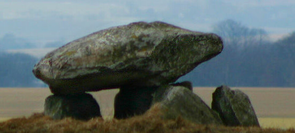 Steindysse nær Vinstrup, Nørhald. Dysse Dysse er en dansk betegnelse på megalitt- eller storsteinsgraver fra yngre steinalders traktbegerkultur. (Foto: Malene Thyssen)