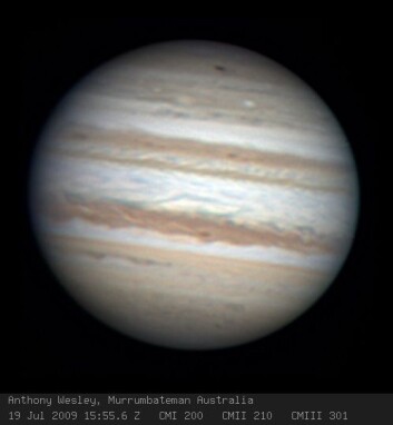 Den australske amatørastronomen Anthony Wesleys oppdagelsesbilde fra 19. juli. Nedslagsområdet er synlig som en mørk flekk i Jupiters sydlige polarområde, nær toppen av bildet (syd er opp og nord er ned på bildet). (Foto: Anthony Wesley) Den australske amatørastronomen Anthony Wesleys oppdagelsesbilde fra 19. juli. Nedslagsområdet er synlig som en mørk flekk i Jupiters sydlige polarområde, nær toppen av bildet (syd er opp og nord er ned på bildet). (Foto: Anthony Wesley)