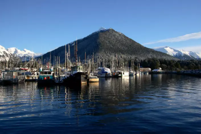 Nye toktresultater gir ikke godt nytt for en av verdens viktigste fiskebestander utenfor Alaska. Nedgangen kan gi bedre priser på norsk fisk. (Foto: iStockphoto)