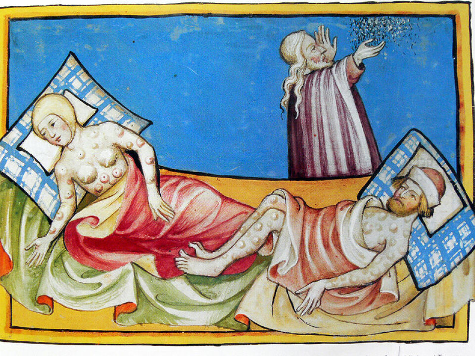 Miniatyr fra Toggenburg-Bibelen fra 1411. Bildet er antageligvis en beskrivelse av byllepest. (Kilde: Wikimedia Commons)
