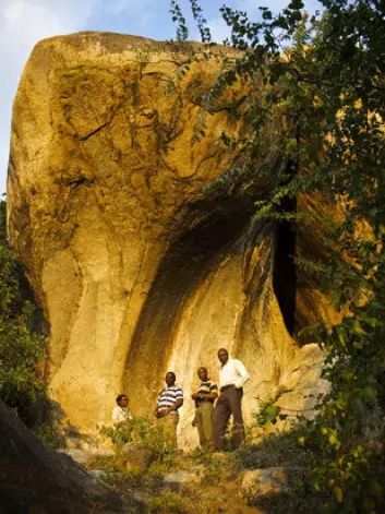 Arkeologane inspiserer ein av dei mange maleria og helleristningane i det austlege Zimbabwe. Frå venstre. Ancila Nhamo, Seke Katsamudanga, Gilbert Pwiti og Paul Mupira.  (Foto: Eivind Senneset)