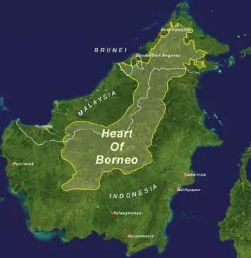 Regionen Borneos hjerte på øya i Sørøstasia, som er delt mellom Indonesia, Malaysia og Brunei. (Foto: © WWF-US/ A.Shapiro)