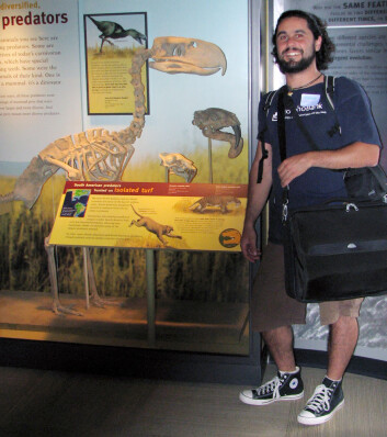 Førsteforfatter Federico Degrange på den nye terrorfugl-studien. Her er han avbildet sammen med et eksemplar av den undersøkte Andalgalornis, som kan ses på Field Museum of Natural History in Chicago. (Foto: Museo de La Plata) Førsteforfatter Federico Degrange på den nye terrorfugl-studien. Her er han avbildet sammen med et eksemplar av den undersøkte Andalgalornis, som kan ses på Field Museum of Natural History in Chicago. (Foto: Museo de La Plata)