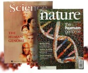 "Februar 2001 kom fagbladene Nature og Science ut samtidig med to versjoner av et oversiktskart over det menneskelige genom (Foto: Jon Solberg)" "Februar 2001 kom fagbladene Nature og Science ut samtidig med to versjoner av et oversiktskart over det menneskelige genom (Foto: Jon Solberg)"