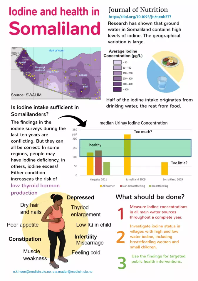 Infographic: Developed by the research project to illustrate their main findings.