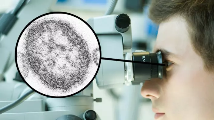 Ved å manipulere med meslingevirus i laboratoriet håper forskere at viruset kan rettes mot kreftceller. (Illustrasjonsfoto: Colourbox / Centers for Disease Control and Prevention)