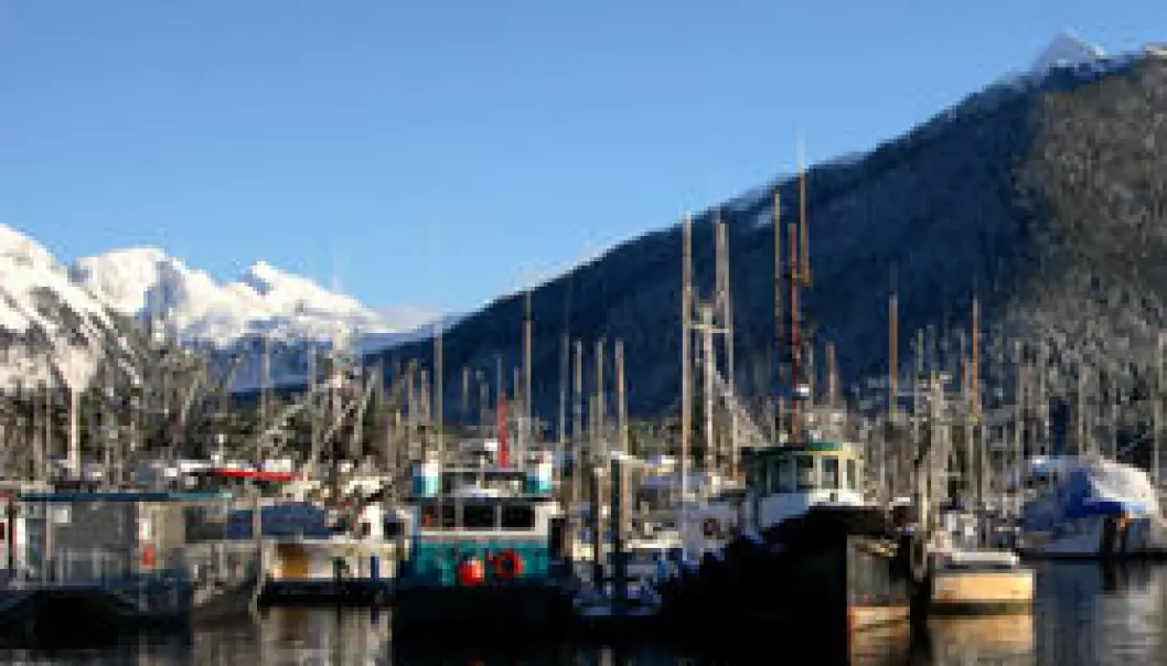 Fortsatt lave fiskekvoter utenfor Alaska
