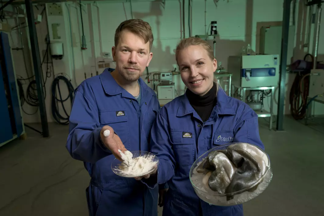 Runar Gjerp Solstad and Kjersti Lian, along with other scientists in the BlueCC project, aim to find a way to exploit lumpfish, a cleaner fish from aquaculture.