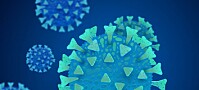 Omikron: Slik lager de nye vaksiner som også beskytter mot muterte koronavirus