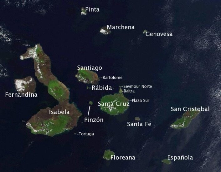 Galapagosøyene. (Foto: NASA/Wikimedia Commons) Galapagosøyene. (Foto: NASA/Wikimedia Commons)