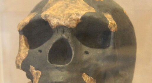 De eldste levningene fra Homo Sapiens i Øst-Afrika er eldre enn forskere har trodd De eldste levningene fra Homo Sapiens i Øst-Afrika er eldre enn forskere har trodd