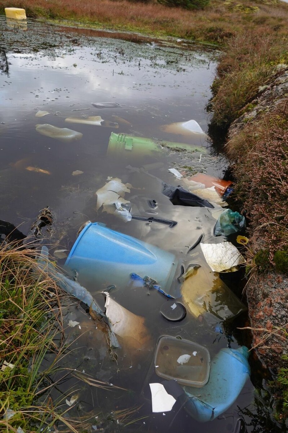 Many freshwater sources for birds and animals on the islands are contaminated with plastic.