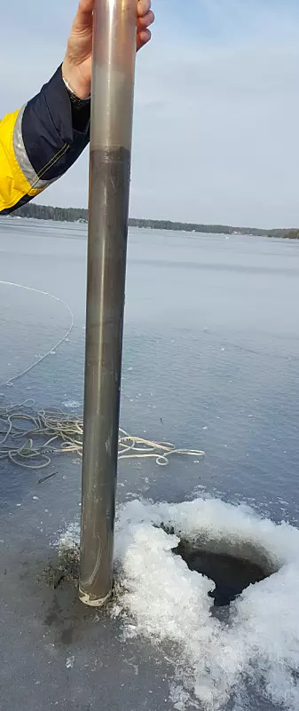 Sedimentprøver fra feltarbeid på Isesjø.