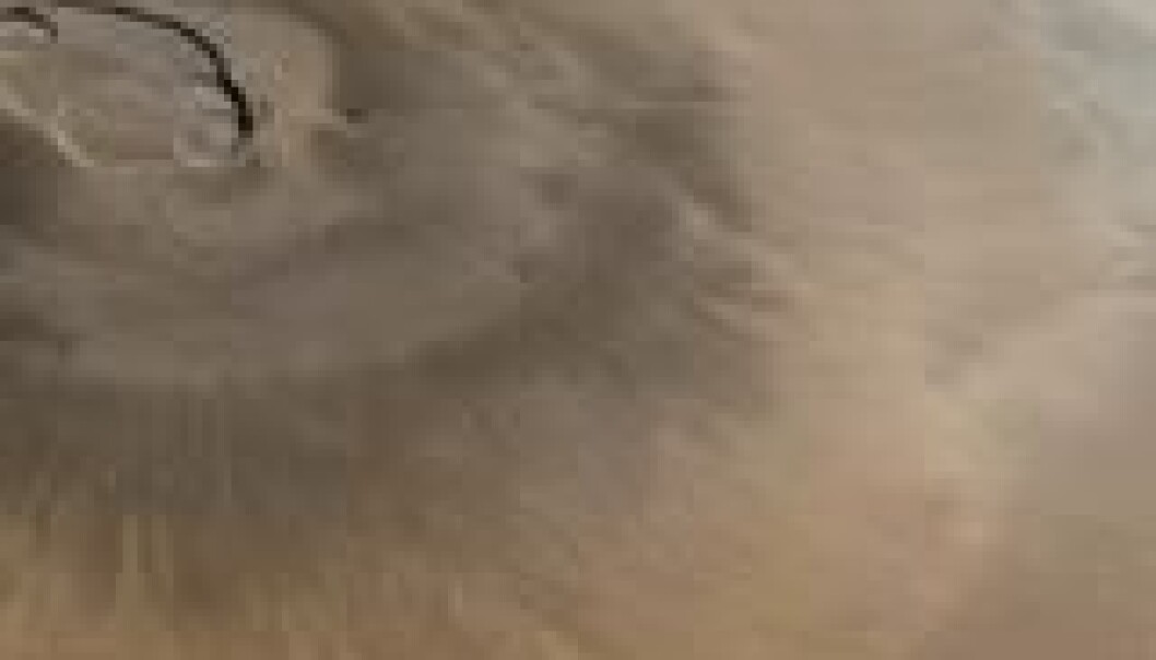 Sovende vulkaner på Mars