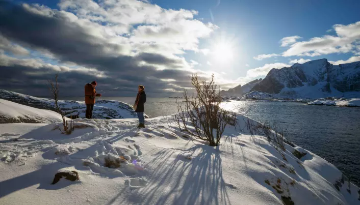 Forskerne vil lete etter spesielle enzymer også i det kalde nord. Illustrasjonsbildet er fra en vinterdag i Lofoten.