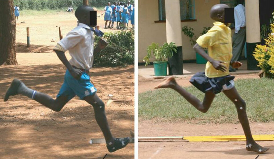 Her ser du hvordan en kenyaner som er vant til å bruke sko  (t.v) lander på hælen først, mens en som vanligvis løper barfot lander med forfoten først i bakken. (Foto: Benton  et. al., Nature)