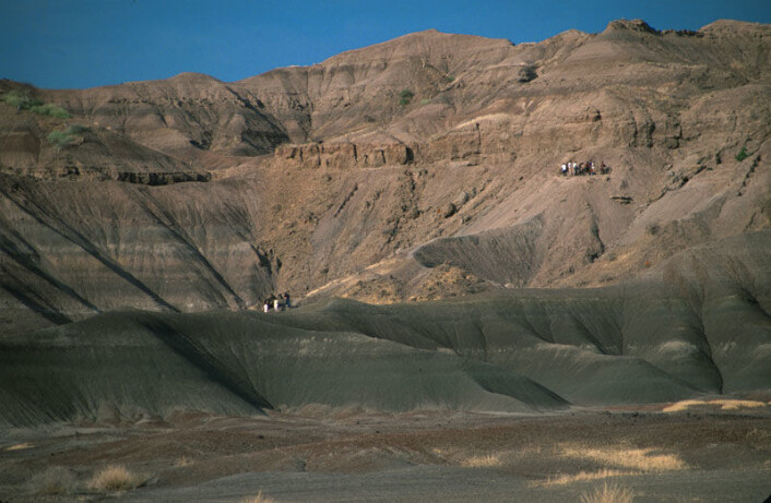 Funnstedet ved Hadar i Afar-regionen i Etiopia. (Foto: Donald C. Johanson) Funnstedet ved Hadar i Afar-regionen i Etiopia. (Foto: Donald C. Johanson)