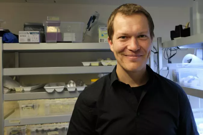 Eivind Undheim har hyllevis av larver i små bokser på laboratoriet.