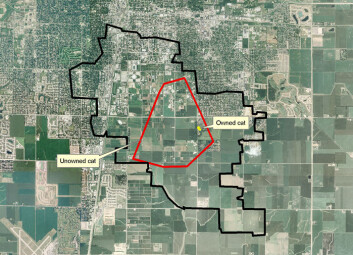 Kattenes vandreområde i Illinois (Bilde: Jeff Horn) Kattenes vandreområde i Illinois (Bilde: Jeff Horn)