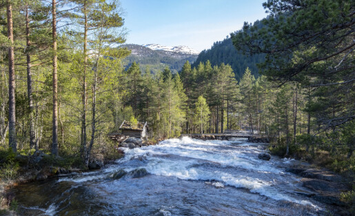 God økologisk tilstand i norske fjellområder – så vidt