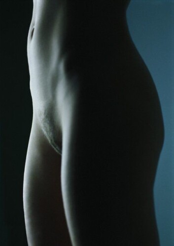 (Illustrasjonsfoto: www.colourbox.no) (Illustrasjonsfoto: www.colourbox.no)