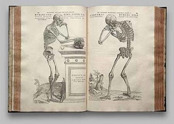 "De fabrica var en STOR bok, noe som gjorde det mulig med mer nøyaktige illustrasjoner." "De fabrica var en STOR bok, noe som gjorde det mulig med mer nøyaktige illustrasjoner."