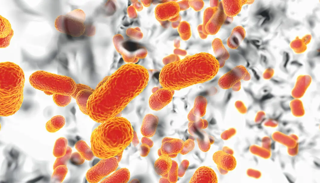 Resistente bakterier gjør at over en million mennesker dør i verden årlig. Nå utviker norske forskere en ny type antibiotika som ikke gir resistens. Resistente bakterier gjør at over en million mennesker dør i verden årlig. Nå utviker norske forskere en ny type antibiotika som ikke gir resistens.