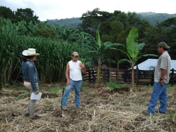 Myriam Blanco (t.v.) økonom fra Nicaragua var også med i evalueringsgruppa, her i diskusjon med to arbeidere på ett av brukene gruppa besøkte i Nicaragua. (Foto: Bioforsk) Myriam Blanco (t.v.) økonom fra Nicaragua var også med i evalueringsgruppa, her i diskusjon med to arbeidere på ett av brukene gruppa besøkte i Nicaragua. (Foto: Bioforsk)