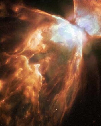 "Dette er ett av de nyeste bildene fra Hubble. Denne kosmiske sommerfuglen av en stjernetåke kalles Bug Nebula, eller NGC 6302, og er en av de mest ekstreme stjærnetåkene vi kjenner til. Den intense, døende stjerna i midten er kledd i et slør av isete hagl. (Foto: NASA/ESA)" "Dette er ett av de nyeste bildene fra Hubble. Denne kosmiske sommerfuglen av en stjernetåke kalles Bug Nebula, eller NGC 6302, og er en av de mest ekstreme stjærnetåkene vi kjenner til. Den intense, døende stjerna i midten er kledd i et slør av isete hagl. (Foto: NASA/ESA)"
