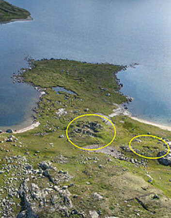 "Aust- og vestbu, sirkelen til venstre på biletet, var der jegerane frå 1200-talet heldt til. Sørbu, sirkelen til høgre, var den aktive fangstplassen på 2-300-talet. Truleg har jegerane avliva dyra frå båt, og halt dei opp på den vesle tangen. (Foto: Svein Indrelid)" "Aust- og vestbu, sirkelen til venstre på biletet, var der jegerane frå 1200-talet heldt til. Sørbu, sirkelen til høgre, var den aktive fangstplassen på 2-300-talet. Truleg har jegerane avliva dyra frå båt, og halt dei opp på den vesle tangen. (Foto: Svein Indrelid)"