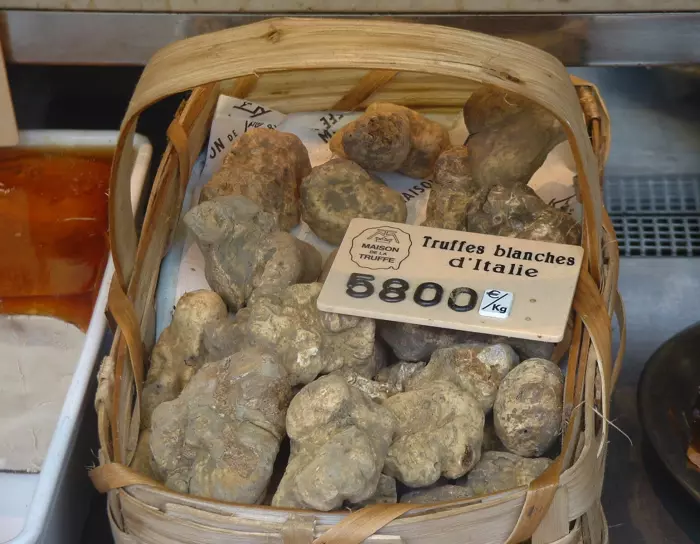 Kvite trøflar til sals på ein marknad i Italia. Dette er den same type trøffel som den dei fire karane i Piemonte jaktar på. Foto: Wikimedia Commons.