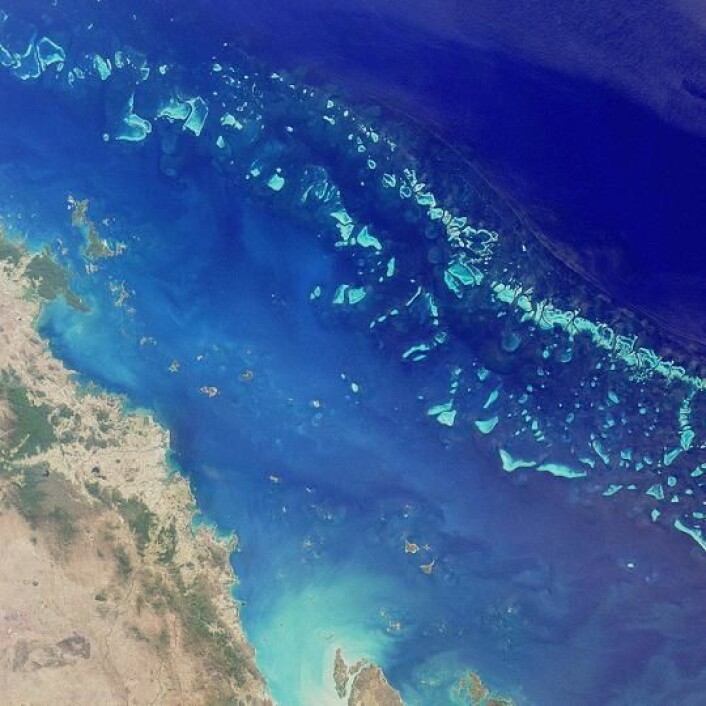 "Great Barrier Reef utenfor Australias østkyst er over 2000 kilometer langt og er verdens største enkeltstruktur av levende organismer. Foto: Wikipedia Commons" "Great Barrier Reef utenfor Australias østkyst er over 2000 kilometer langt og er verdens største enkeltstruktur av levende organismer. Foto: Wikipedia Commons"