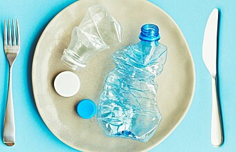 Plastic chemicals may contribute to weight gain